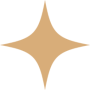 Shape 1 copy 2